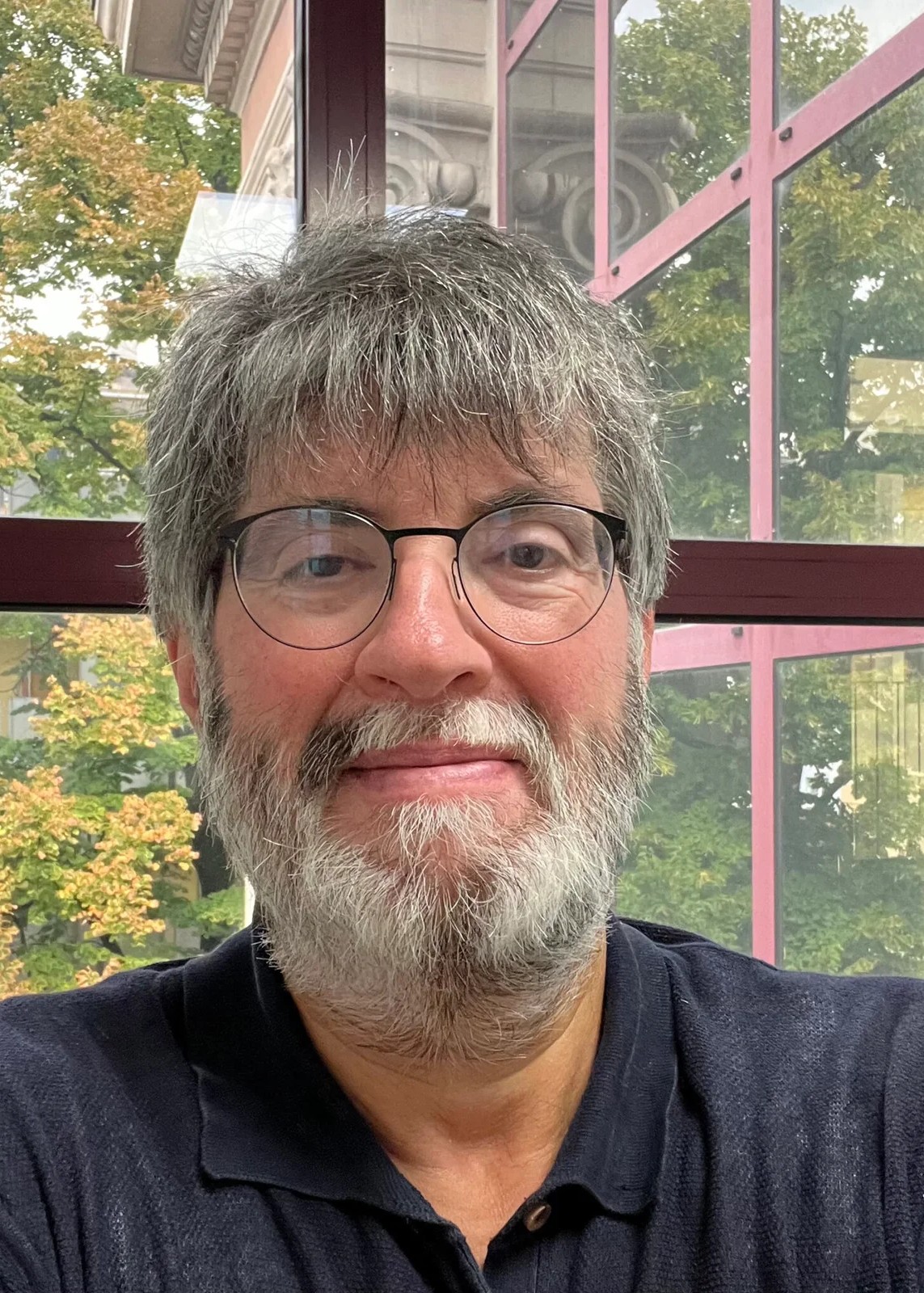 Pier Luigi Novi Inverardi